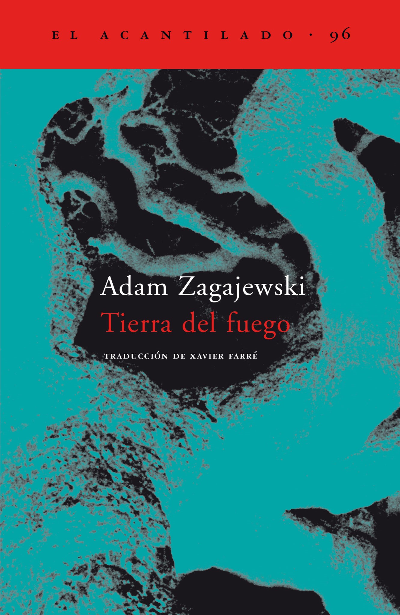 adam zagajewski